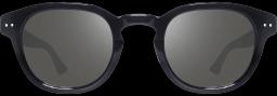 Revo Sterling Sunglasses