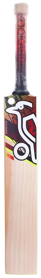 Beast 5.1 Cricket Bat Harrow